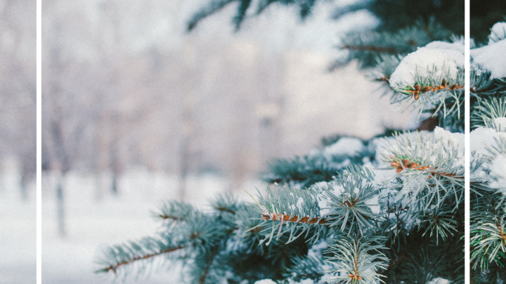 Le Saint-Bo - Hiver